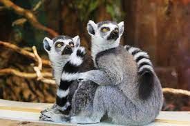 Zoo van Fréjus